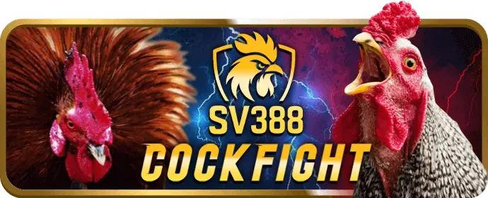 Giao diện thân thiện của 888vv app